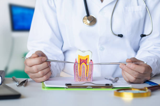 Best Emergency Dentist for Lost Fillings or Crowns in , UT